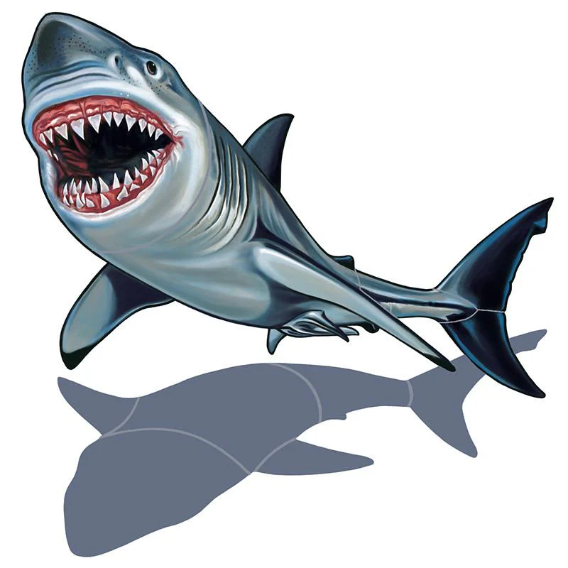 Shark, Porc w/Shadow - Pool Mosaic