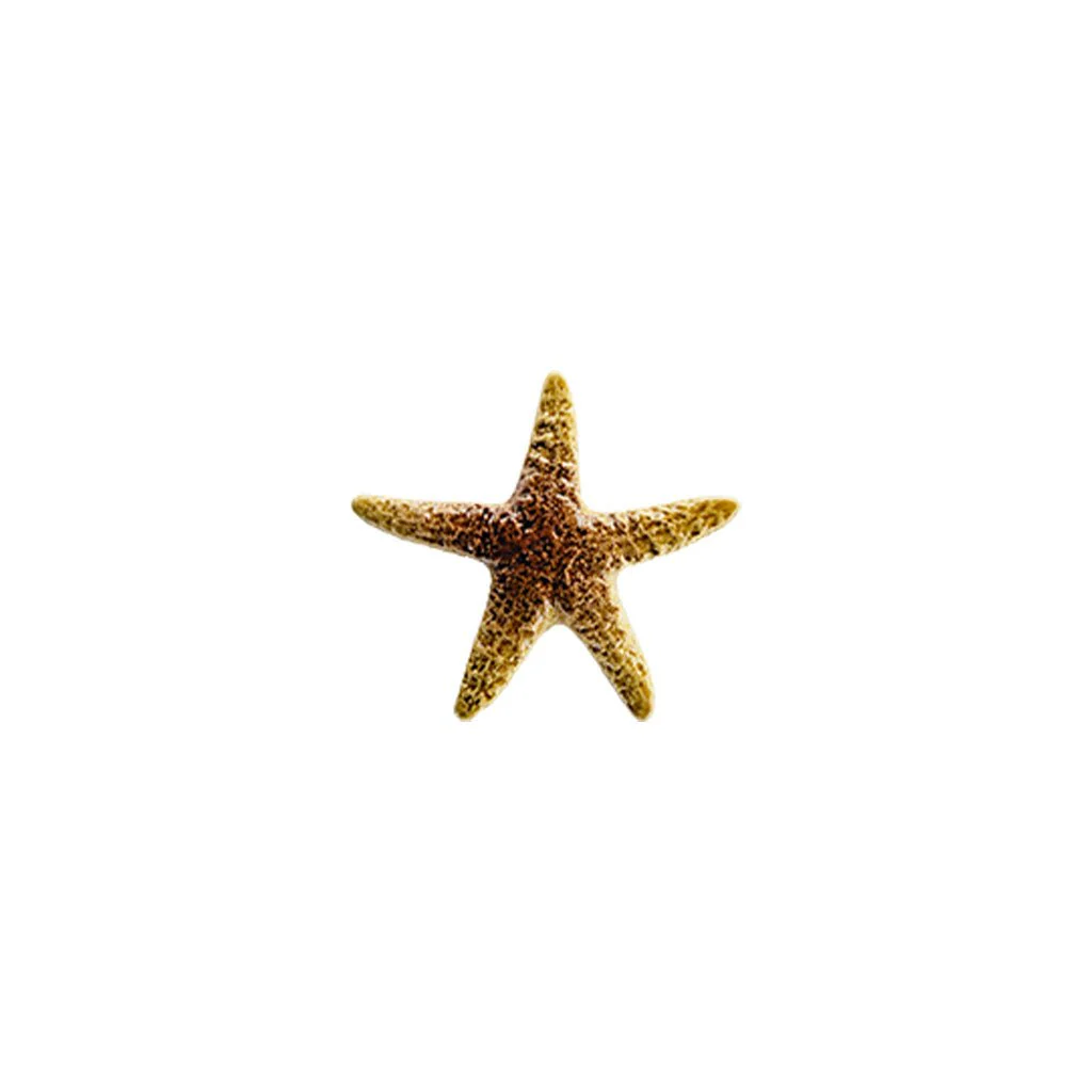 Starfish - Tan 5" - Pool Mosaic