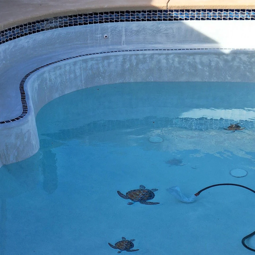 Terra, Mosaic - Porcelain Pool Tile - Image 7