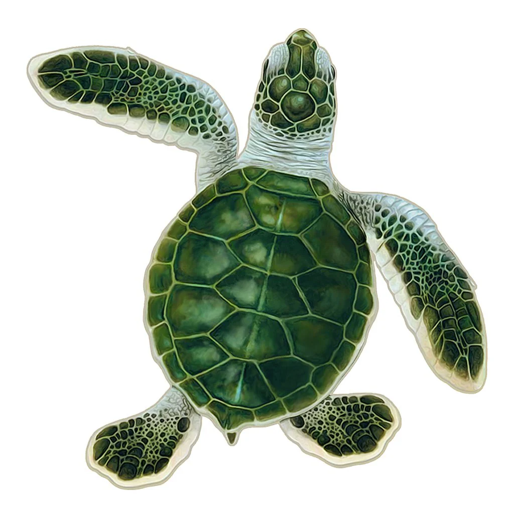 Turtle Hatchling B, Green - Pool Mosaic